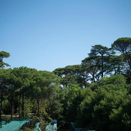 Terme Di Caracalla With Private Swimming Pool *
